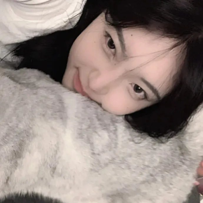 红柿子封面